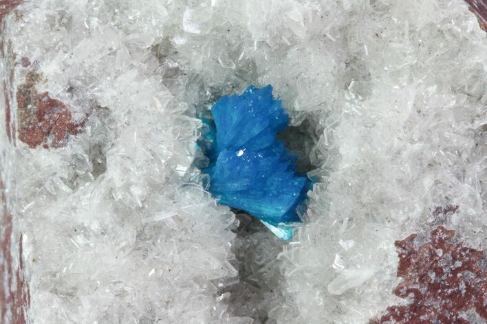 Vibrant Blue Cavansite Cluster on Stilbite - India #67801